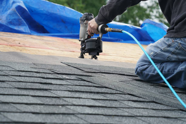 Best Residential Roofing Contractor  in Holton, KS