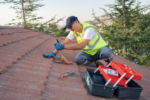 Best Flat Roof Repair Services  in Holton, KS